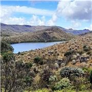 Tutor clases particulares en ciencias sociales, revisión y redacción de trabajos académicos y escolares